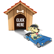 Lake Nona Car Wash